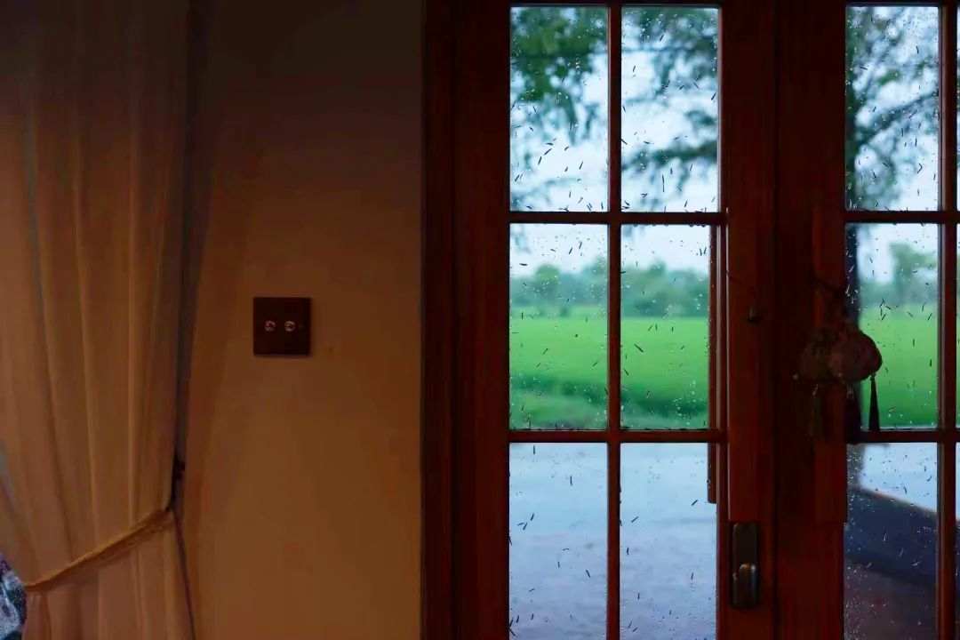 DƬ