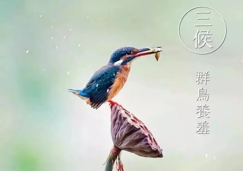 ΢ͼƬ_20250905171552.jpg