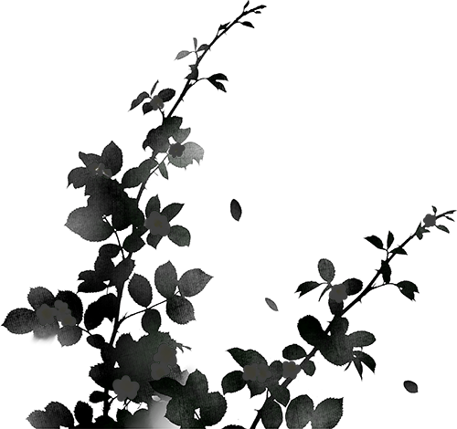 ͼƬ