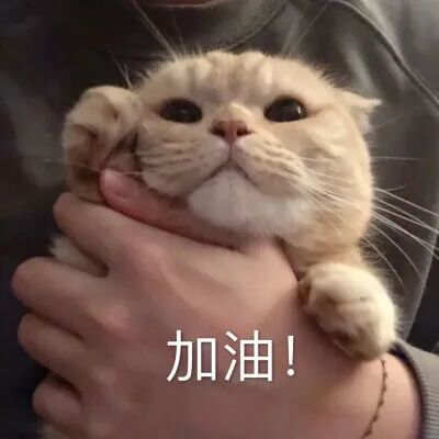 489f9c1028cb46669f7988547f6a3f76.jpeg