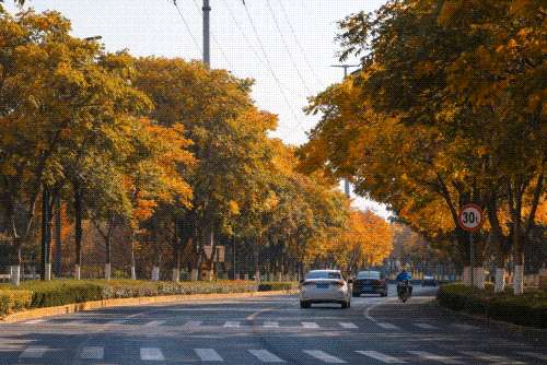 1212.gif