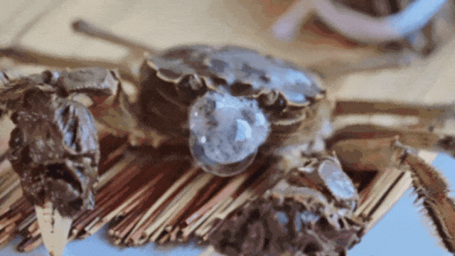 ˮϪ_20250929_162437 (1).gif