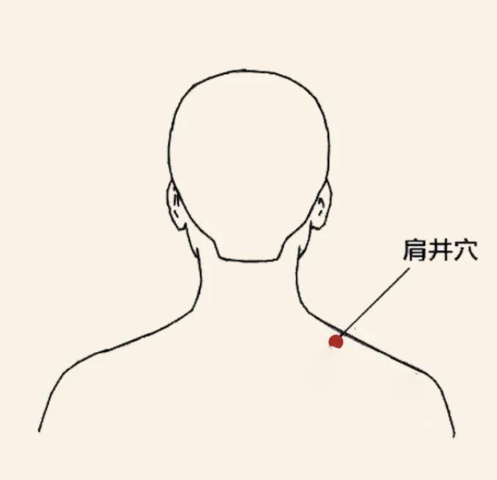ͼƬ