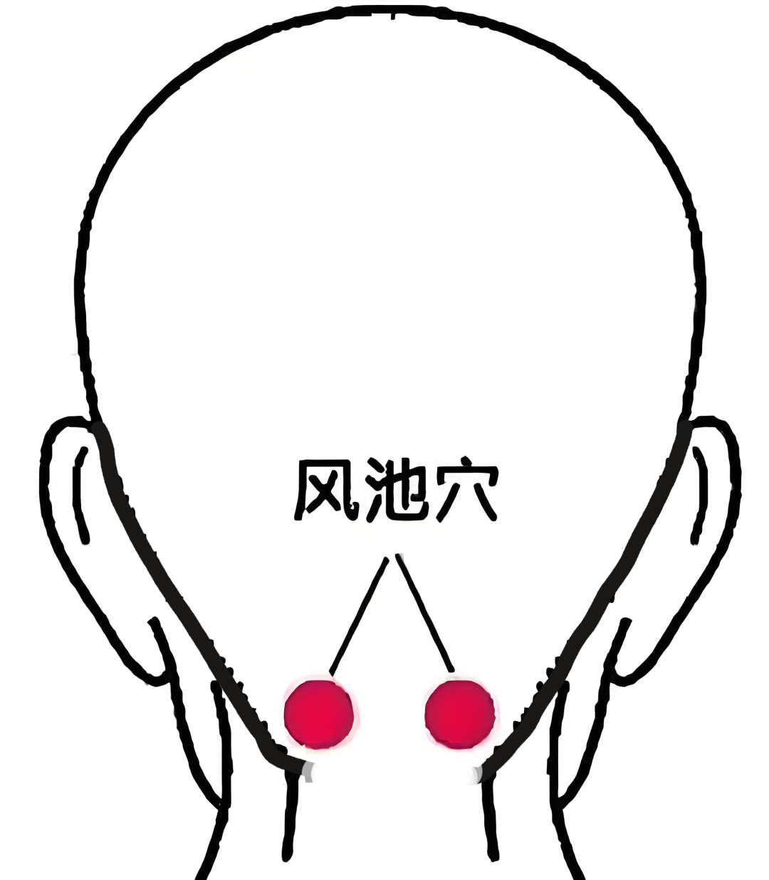 ͼƬ