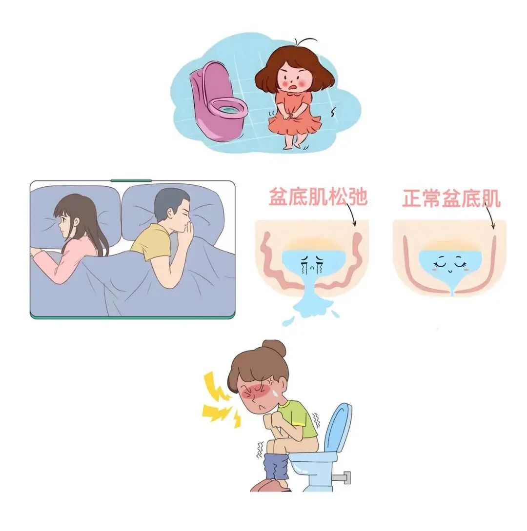 ͼƬ
