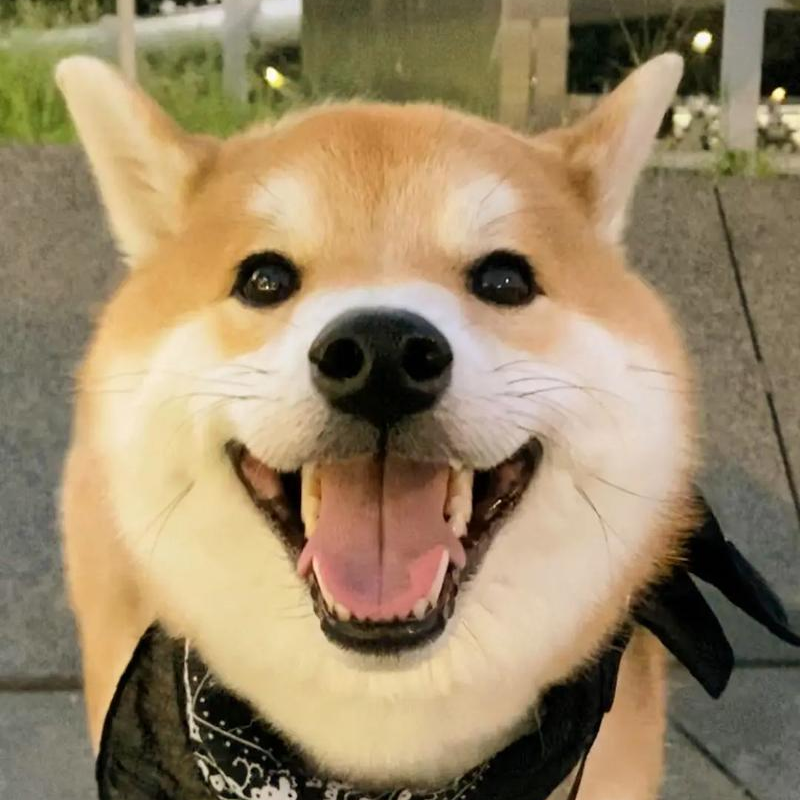 ͼƬ