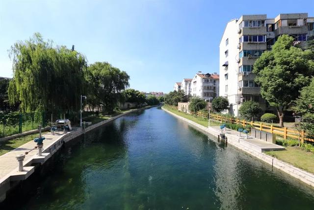 现在,家住正阳一村的张九春时常会到严家角河畔转转.