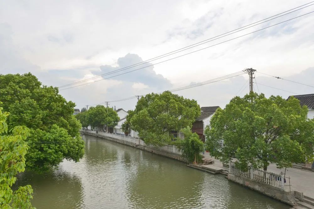 昆山市农村人居环境整治周市镇平庄村,小泾村获评"红榜村"