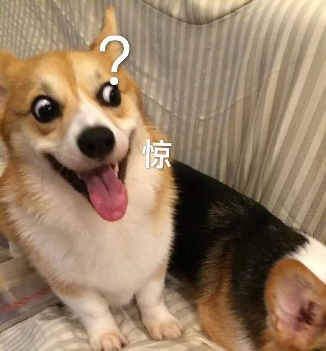 9472a5a9a74033ea8d46b8535a358aa0.jpeg