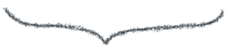 DƬ