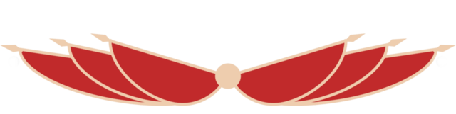 DƬ