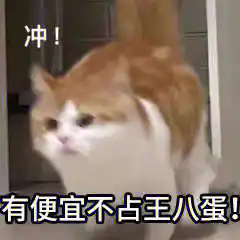 DƬ