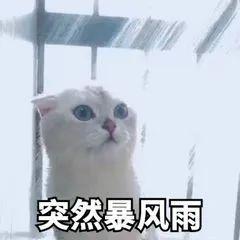 103A87A1.jpg