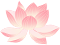 DƬ