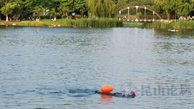 113_902577_ca63fbcc81384a0.jpg