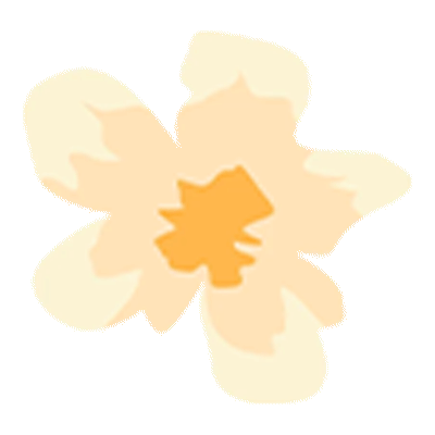 DƬ