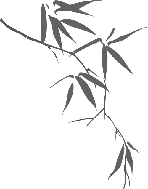 DƬ