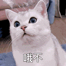 0B241A5D.gif