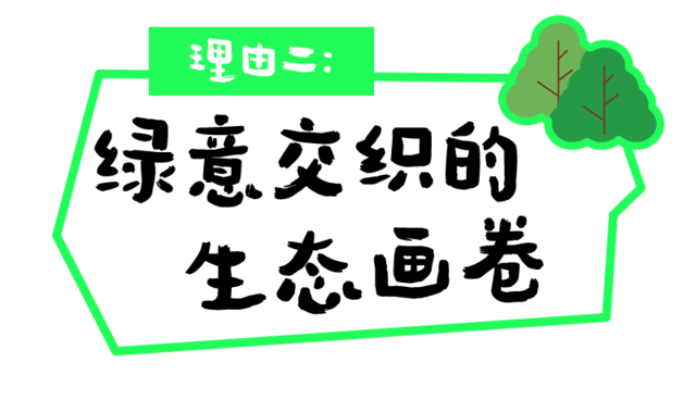 DƬ