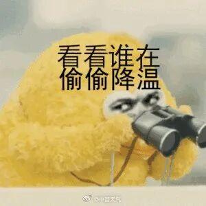 594fb883ly1i4x2nfk2t1j208c08cgm0.jpg