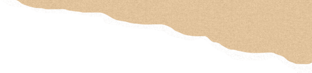 DƬ