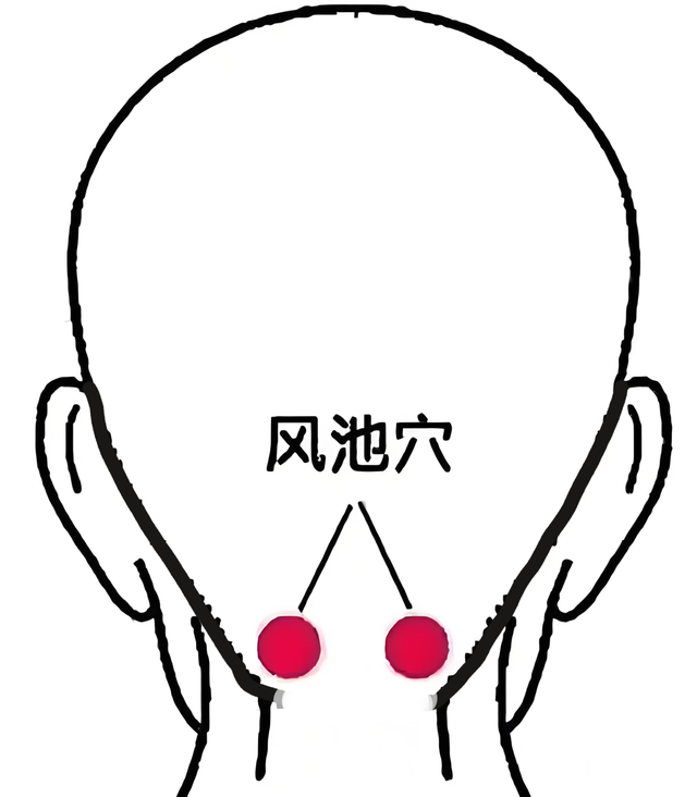 ͼƬ