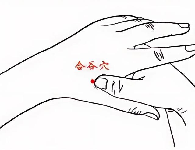 ͼƬ
