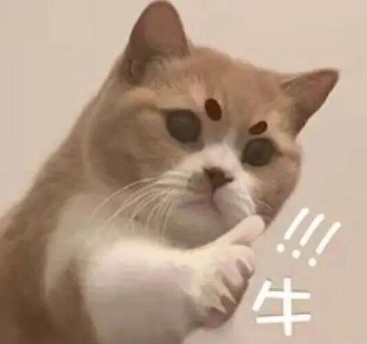029004d3ad9d00c3df23ecdc34e431a8.jpeg