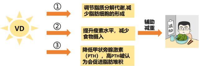 ͼƬ